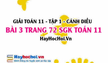 Giải bài 3 trang 72 Toán 11 tập 1 SGK Cánh Diều